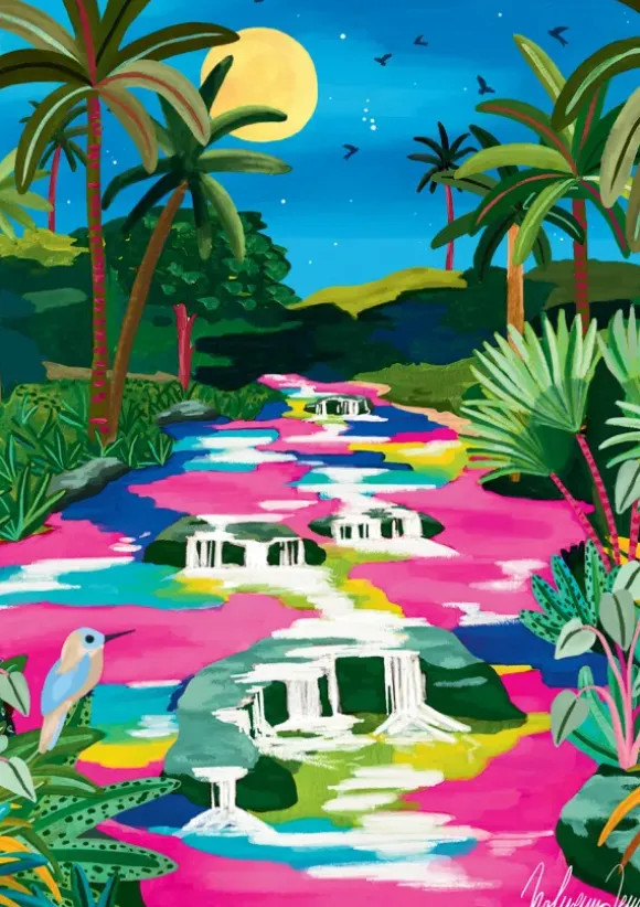Nolwenn Studio - Caño Cristales