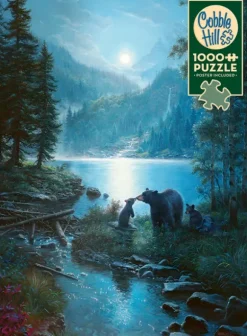Nuit des Ours