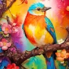 Oiseau Coloré