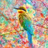 Oiseau Joyeux