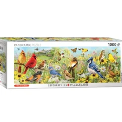 Oiseaux de Jardin
