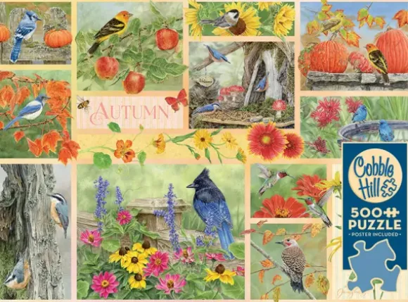 Oiseaux de Jardin en Automne