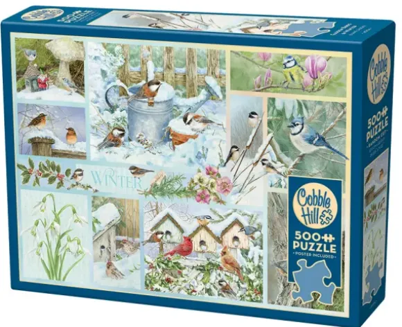 Oiseaux de Jardin en Hiver