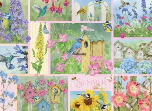 Oiseaux de Jardin en Été