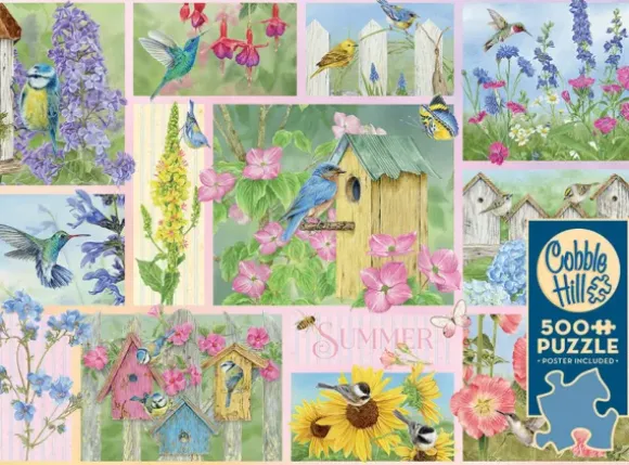 Oiseaux de Jardin en Été