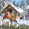 Oiseaux de Noël