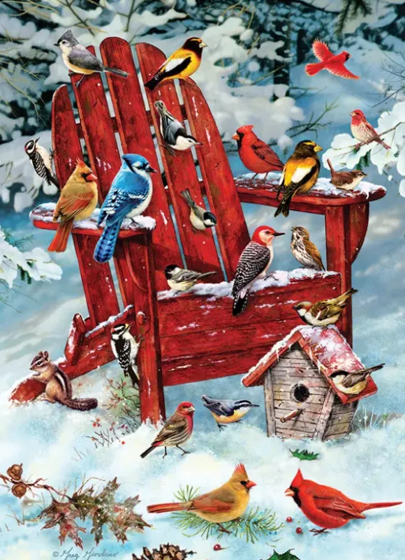 Oiseaux des Adirondacks