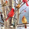 Oiseaux d'Hiver