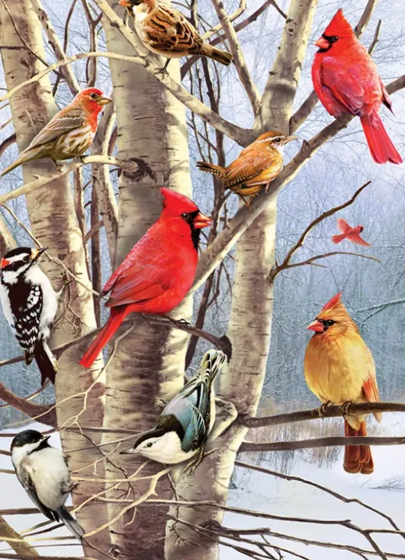 Oiseaux d'Hiver