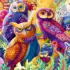 Owl Autonomy