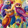 Owl Autonomy