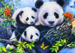 Panda Family