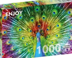Paon Coloré