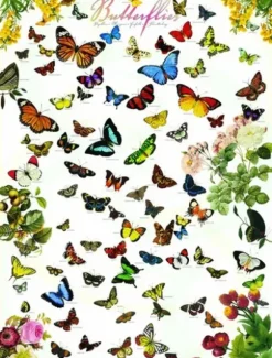 Papillons