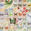 Papillons et Fleurs