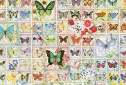 Papillons et Fleurs