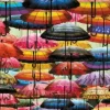 Parapluies Colorés