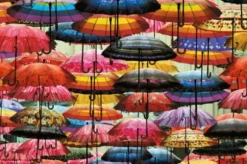Parapluies Colorés