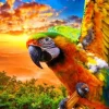 Parrot