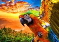 Parrot