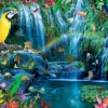 Parrot Tropics
