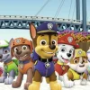 Paw Patrol