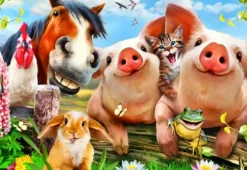 Petting Farm