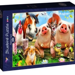 Petting Farm