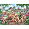 Pièces XXL - Chiots Boueux