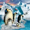 Pièces XXL - Colonie de Pingouin