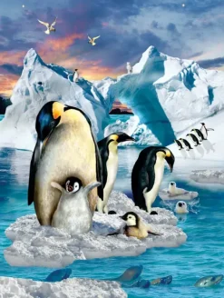 Pièces XXL - Colonie de Pingouin