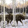 Pièces XXL - Crépuscule au Forêt