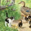 Pièces XXL - Duck Inspector