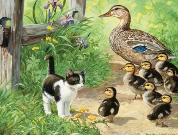 Pièces XXL - Duck Inspector