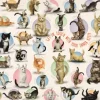Pièces XXL - Familiy Puzzle: Yoga Kittens
