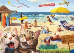 Pièces XXL - Interdit aux chats