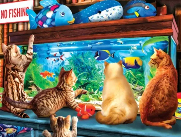 Pièces XXL - Lèche-vitrine