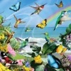 Pièces XXL - Lori Schory - Colibris à la plage