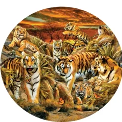 Pièces XXL - Lori Schory - Tigres partout