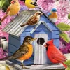 Pièces XXL - Maison d'Oiseau de Printemps