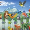 Pièces XXL - Oiseaux de l'Ouest