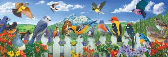 Pièces XXL - Oiseaux de l'Ouest