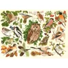 Pièces XXL - Oiseaux Des Bois