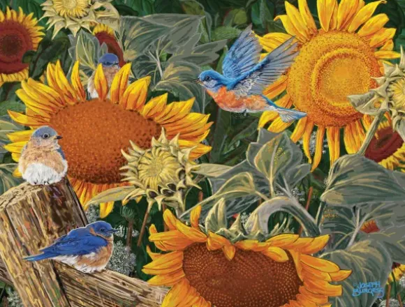 Pièces XXL - Parterre de Tournesols