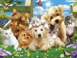 Pièces XXL - Pups n Kittens