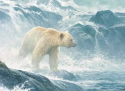 Pièces XXL - Salmon Watch - Spirit Bear