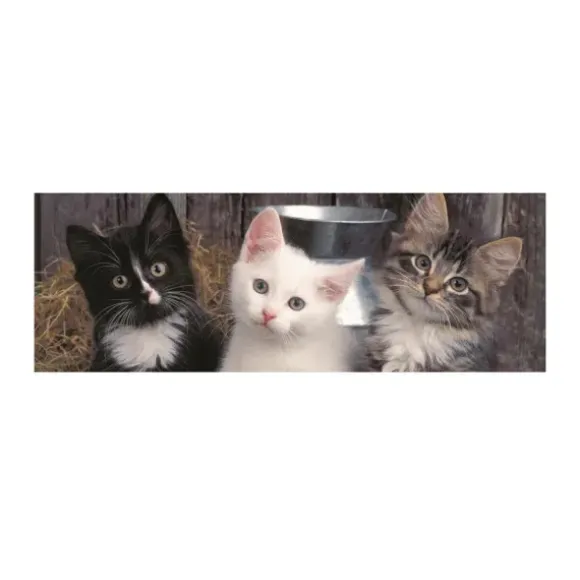 Pièces XXL - Trois Chatons