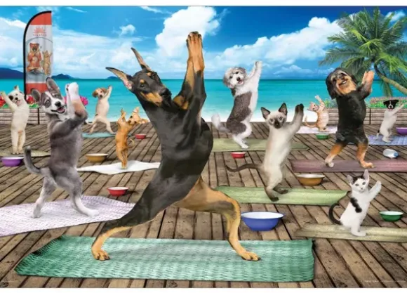 Pièces XXL - Yoga Spa