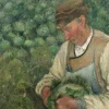 Pissarro Camille - Camille Pissarro : Le Jardinier - Vieux Paysan avec Chou, 1883-1895