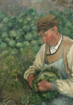 Pissarro Camille - Camille Pissarro : Le Jardinier - Vieux Paysan avec Chou, 1883-1895